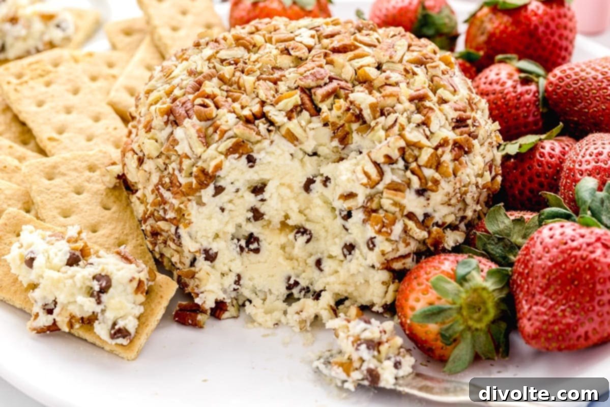 Decadent Chocolate Chip Cheese Ball 2 chocolate-chip-cheese-ball-recipe
