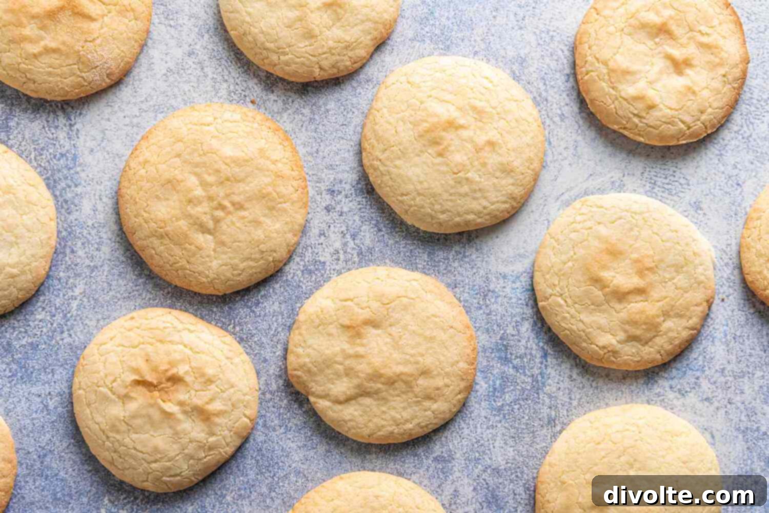 Gluten-Free Sugar Cookie Bliss 2 gluten-free-sugar-cookies-recipe