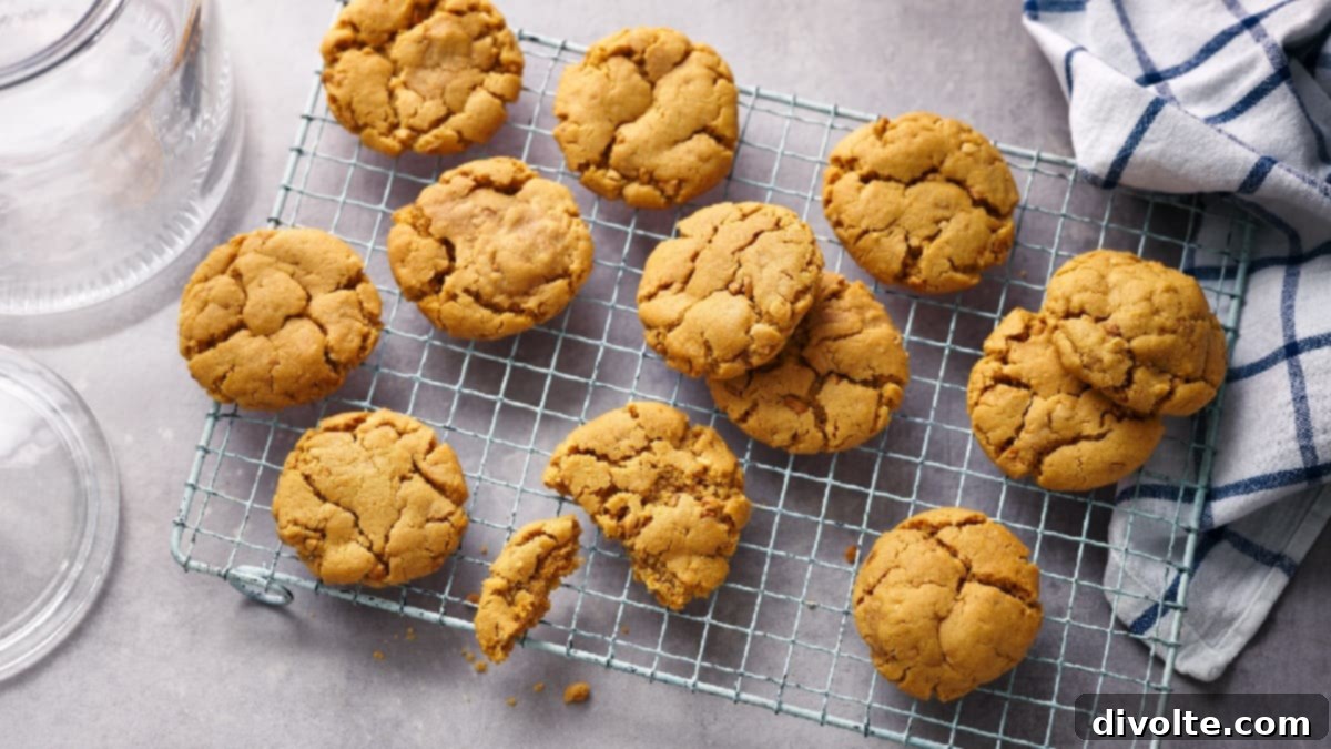 Sütsüz Fıstık Ezmesi Kurabiyesi Tarifi 3 flourless-peanut-butter-cookies-recipe