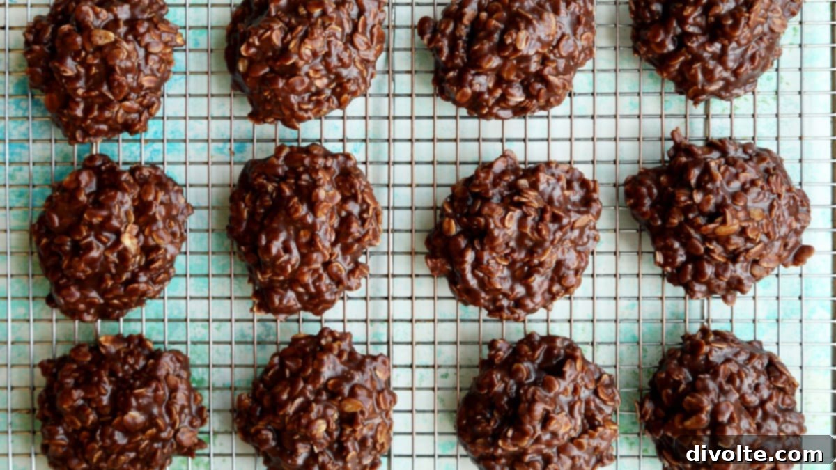 no-bake-chocolate-oatmeal-drop-cookies-recipe