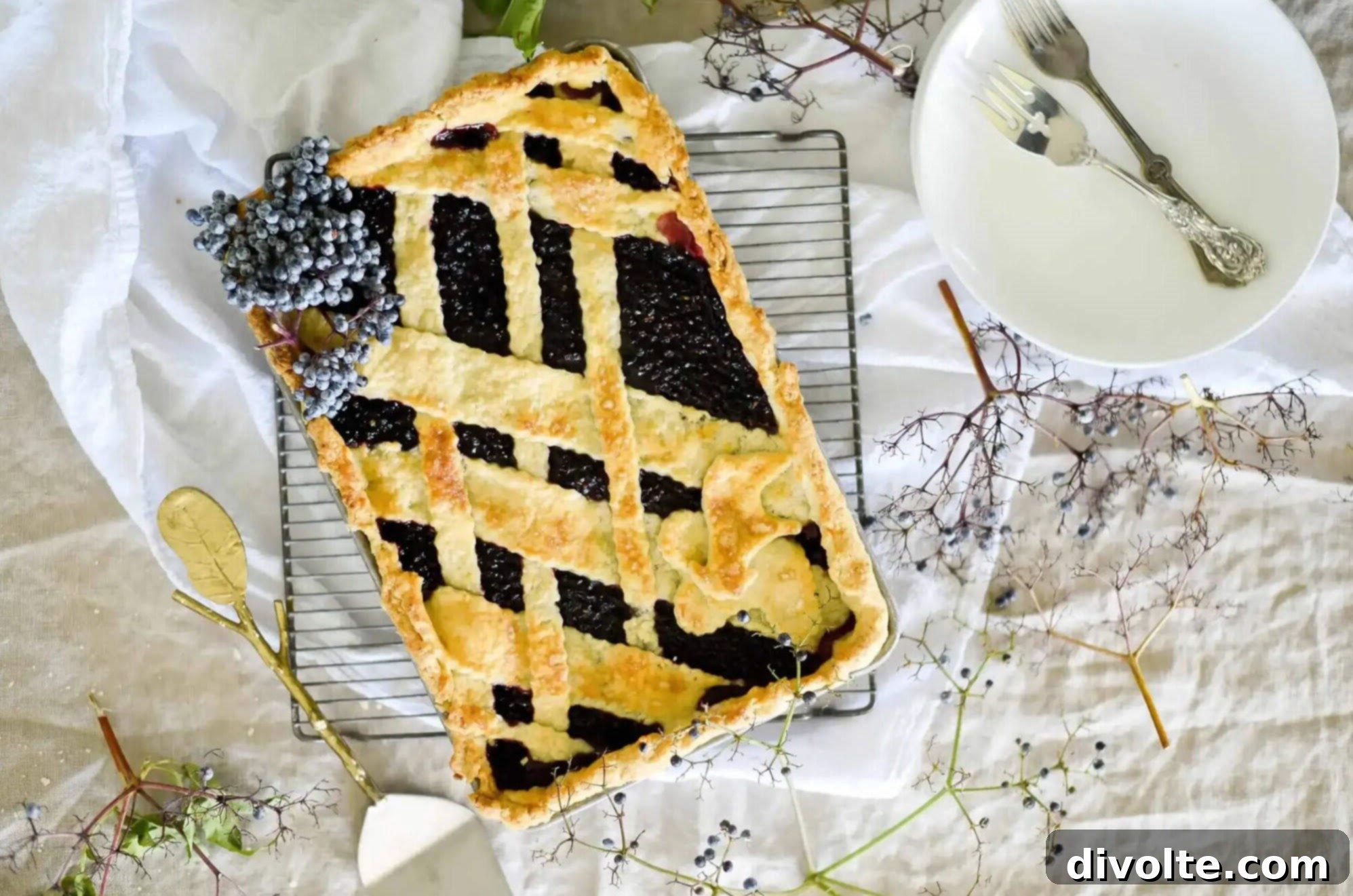 elderberry-pie-recipe