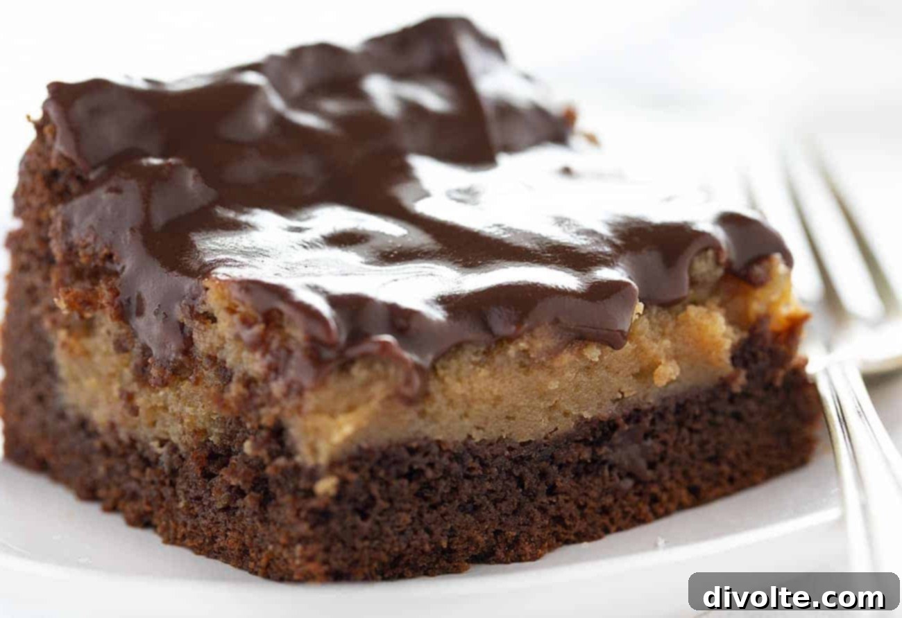 chocolate-gooey-butter-cake-recipe