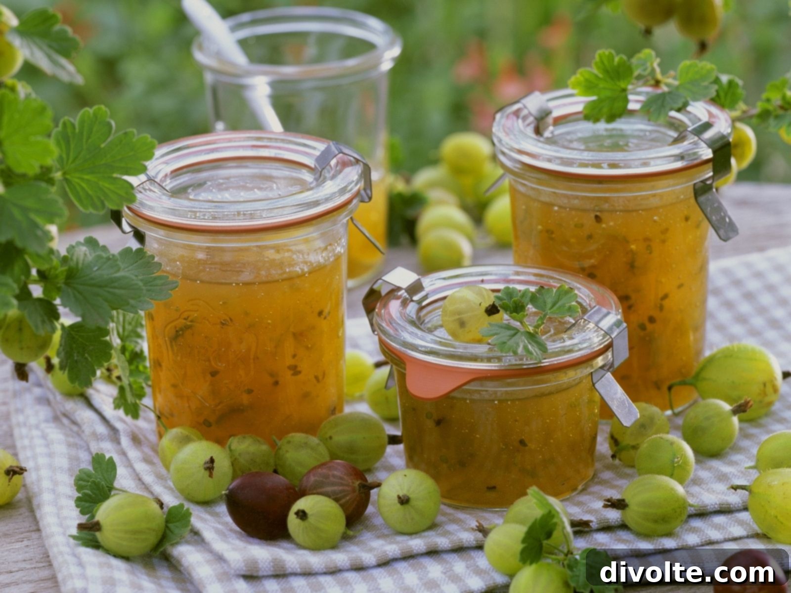 Sweet Tart Gooseberry Jam 3 gooseberry-jam-recipe