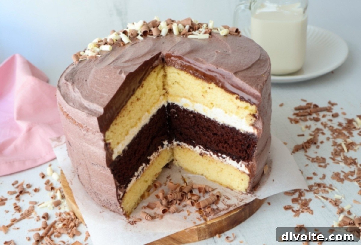 Vanilla Chocolate Bliss 2 delicious vanilla and chocolate swirl dessert