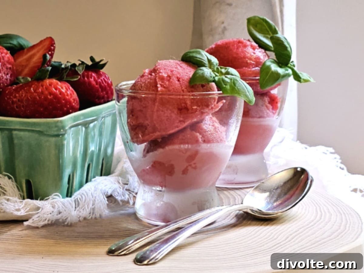 strawberry-basil-sorbet-recipe