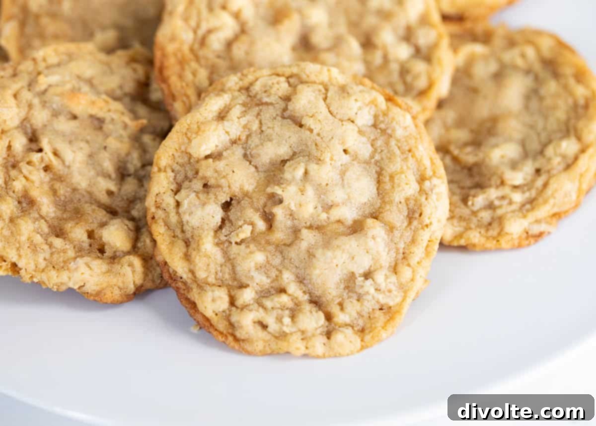 oatmeal-cookie-recipe