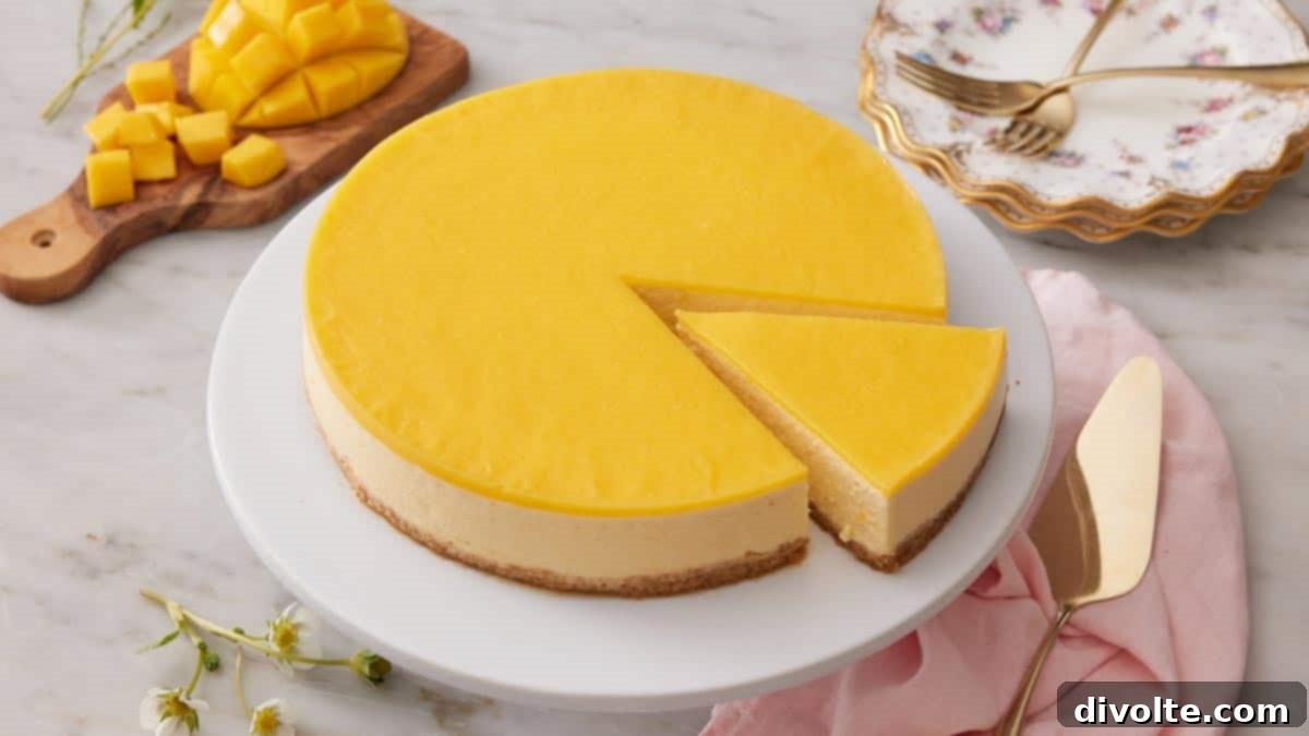 mango-cheesecake-recipe
