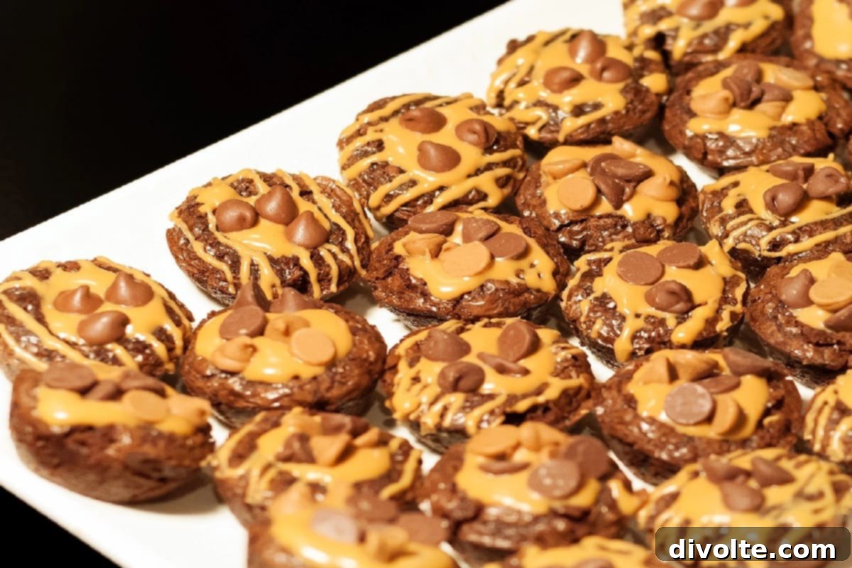peanut-butter-brownie-bites-recipe