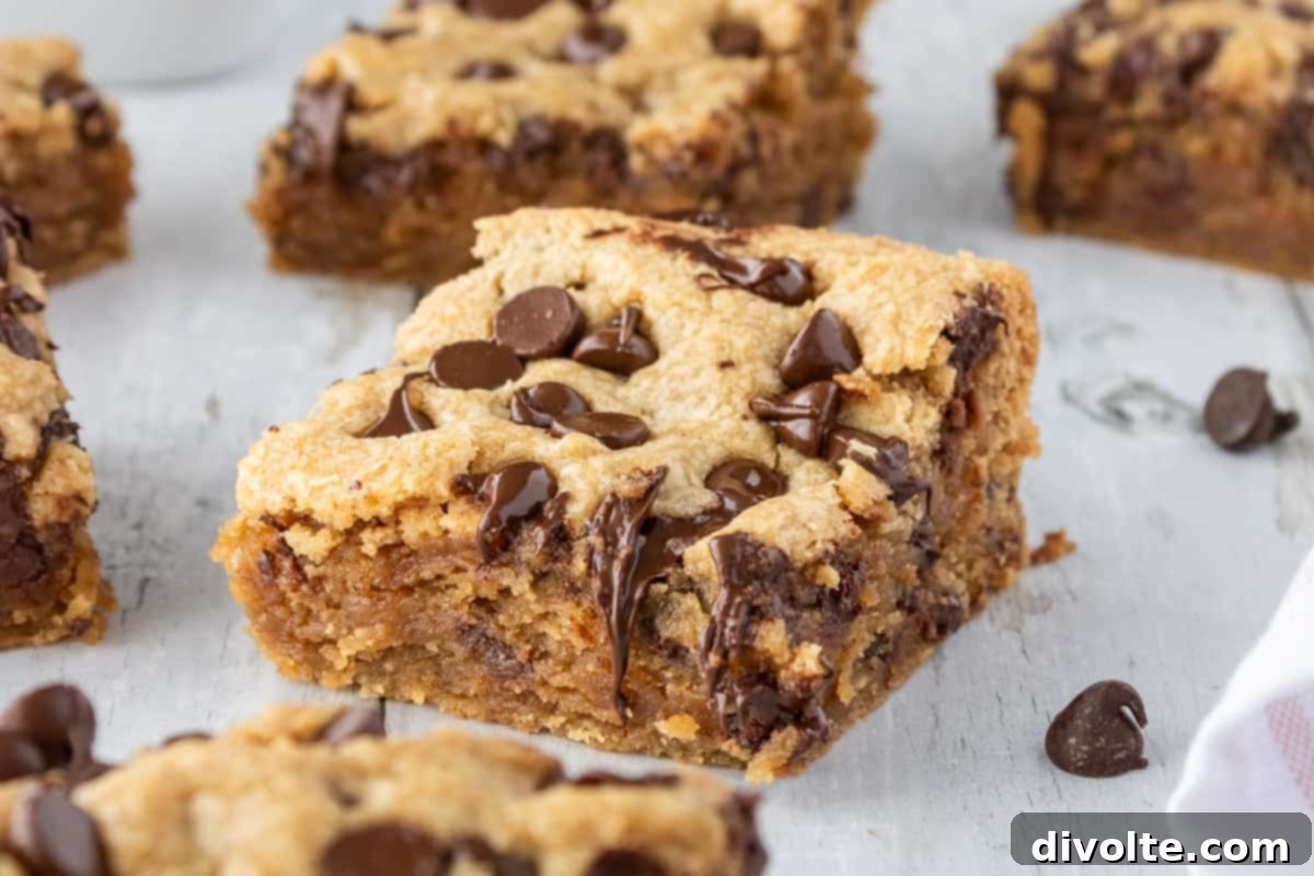 peanut-butter-chocolate-chip-bars-recipe