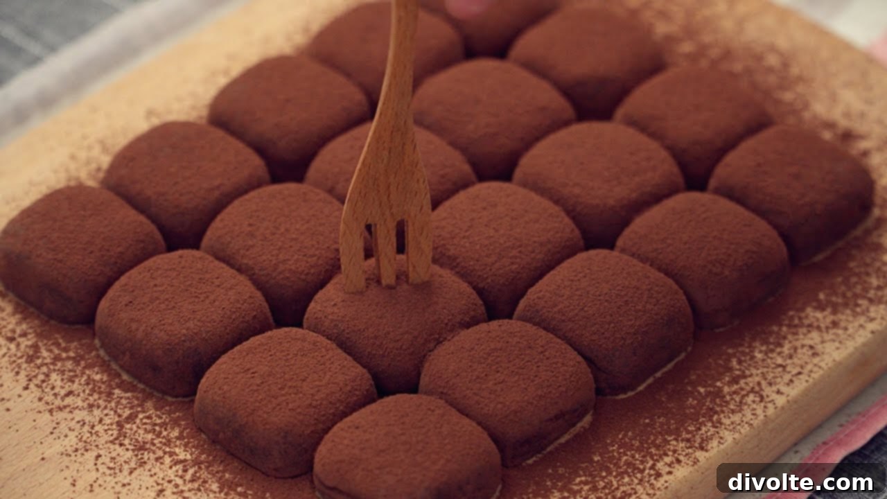 Decadent Homemade Chocolate Truffles 2 chocolate-truffles-recipe