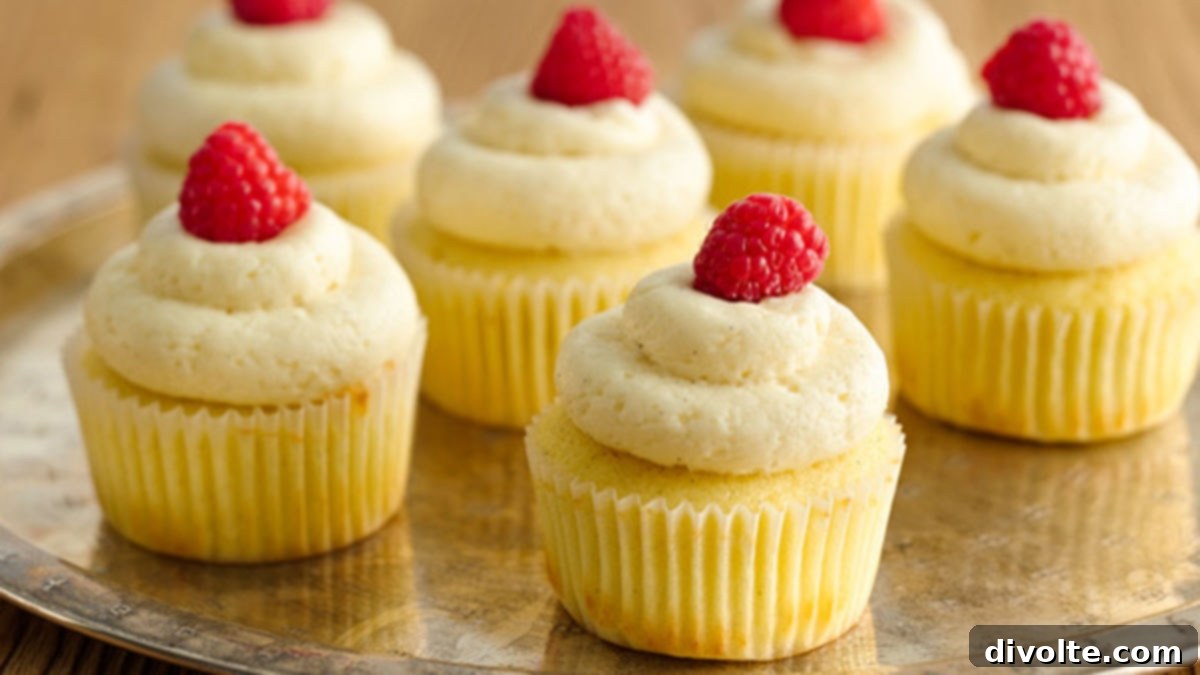 vanilla-bean-cupcakes-recipe