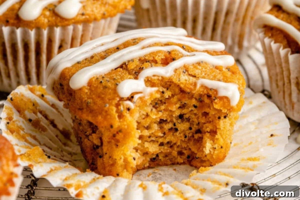 carrot-cake-muffins-recipe
