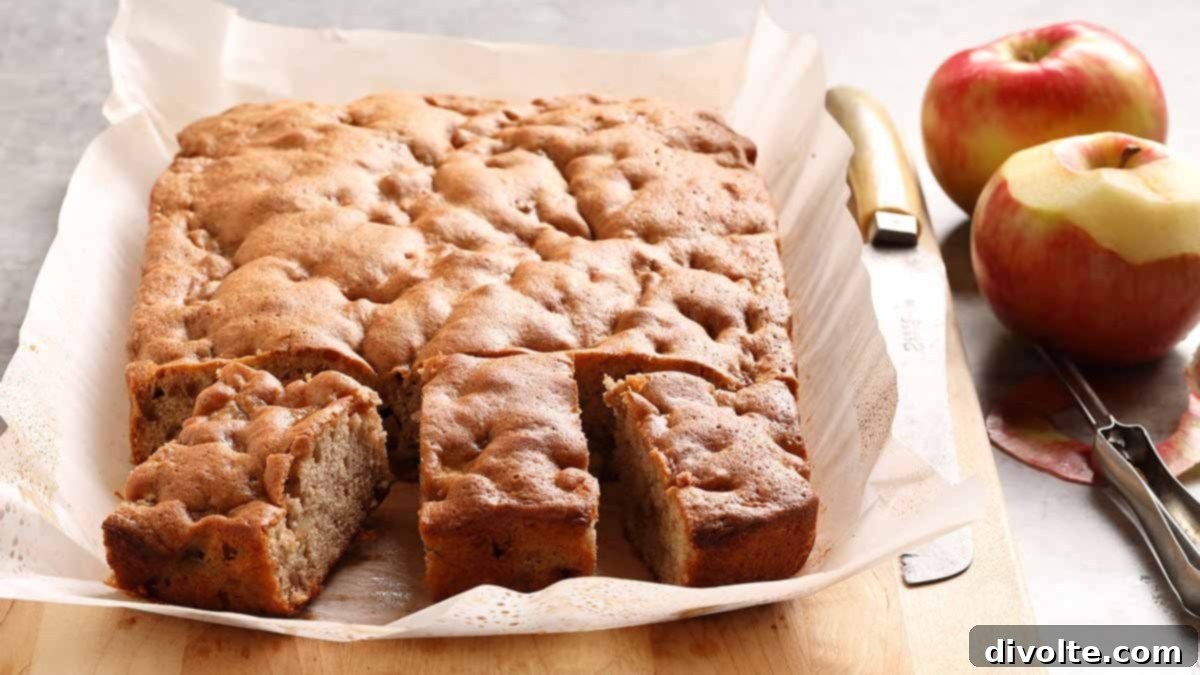 apple-cinnamon-cake-recipe