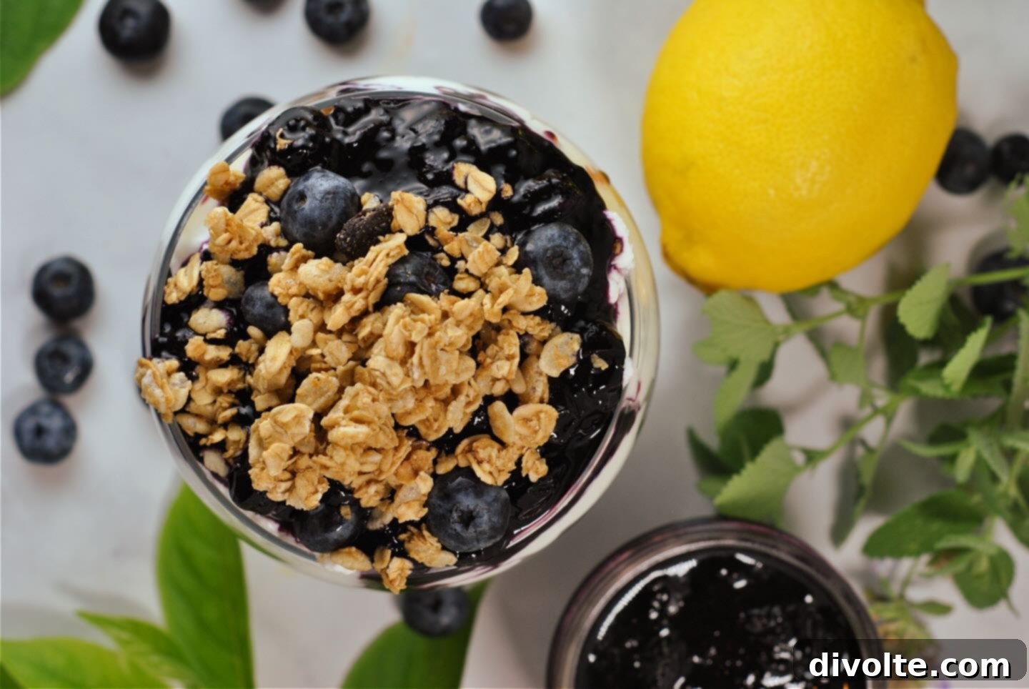 Homemade Blueberry Lemon Jam Delight 2 blueberry-lemon-jam-recipe