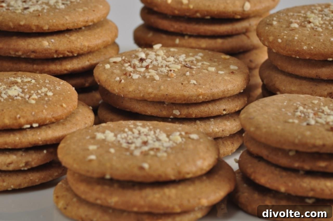 spiced-molasses-cookies-recipe-holiday-treat