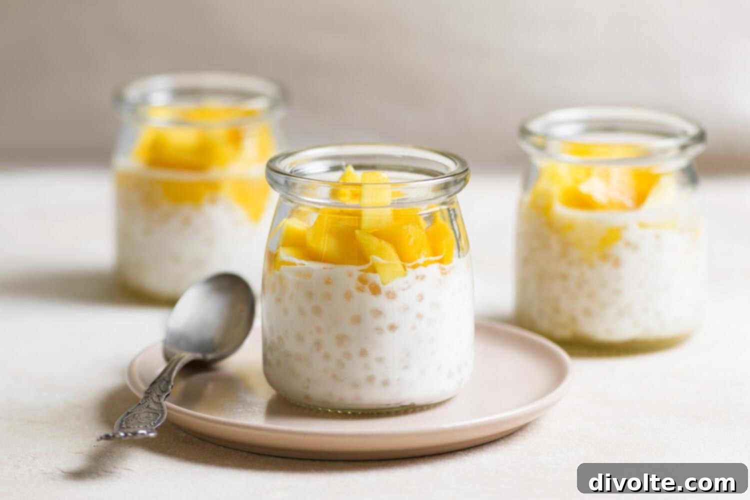coconut-tapioca-pudding-recipe