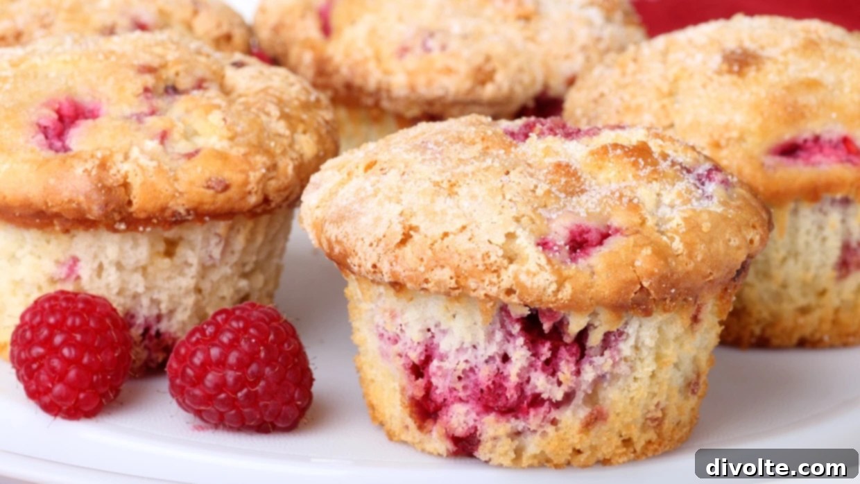 rhubarb-muffins-recipe