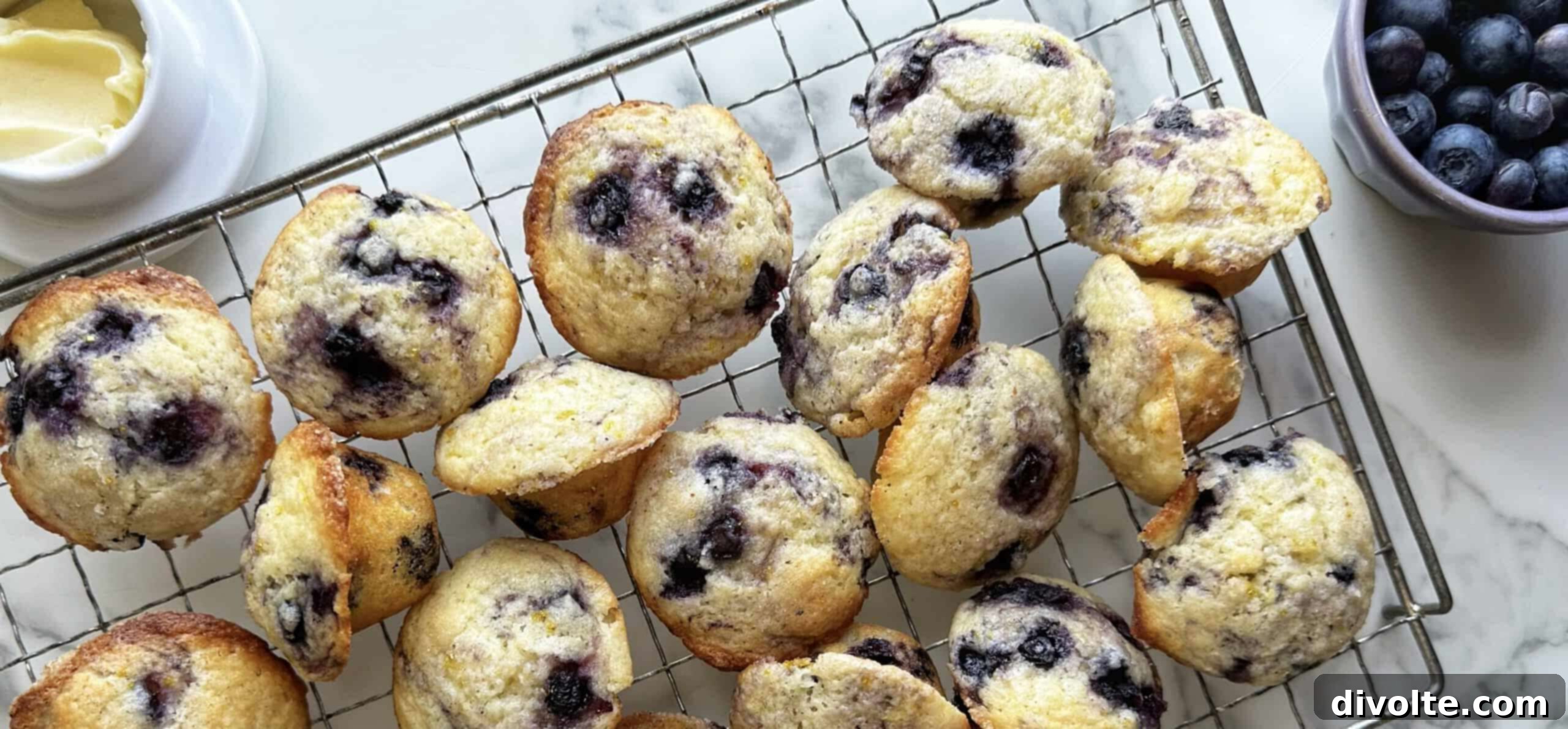 blueberry-muffins-recipe