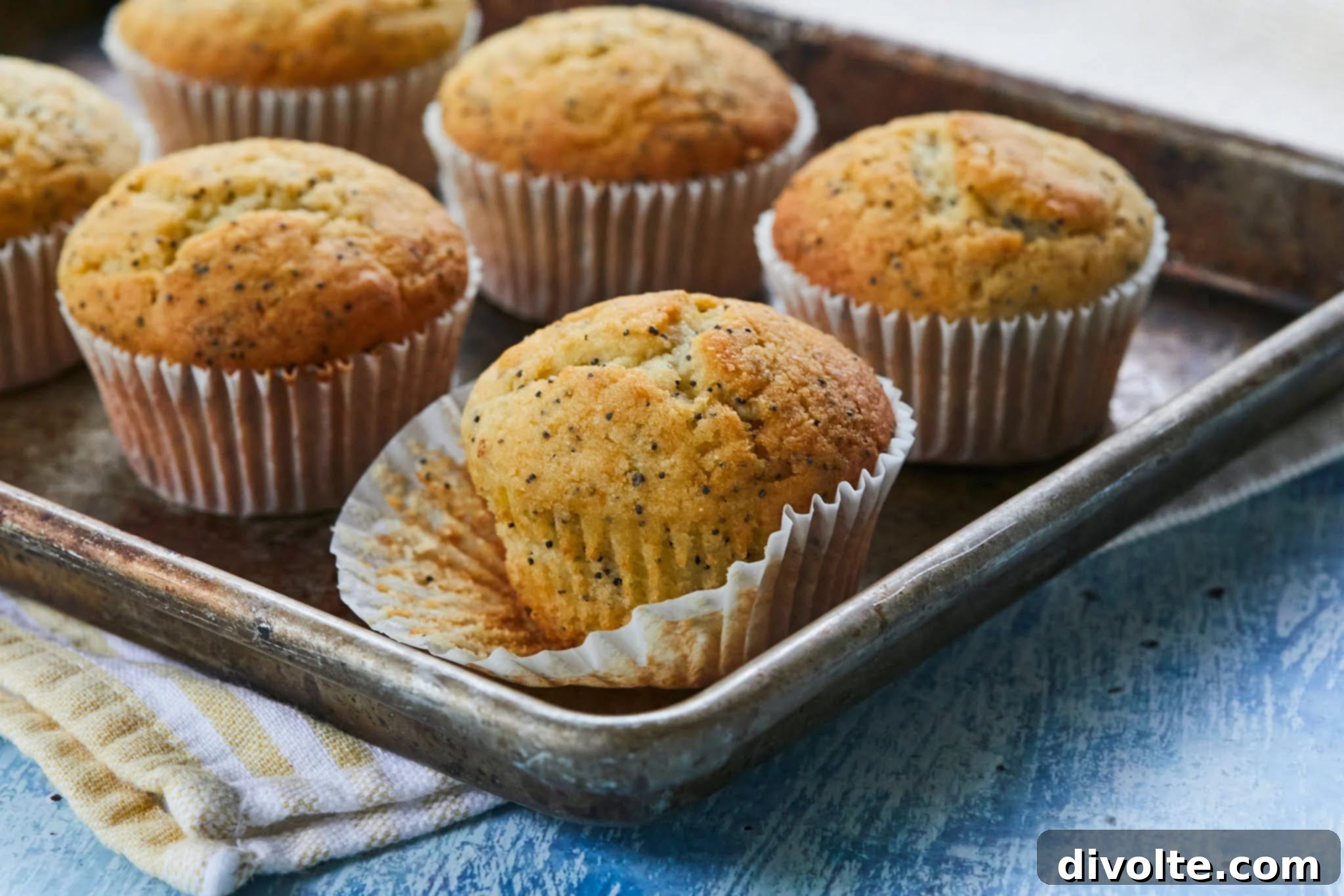 Zesty Lemon Poppy Seed Muffins 2 lemon-poppy-seed-muffins-recipe