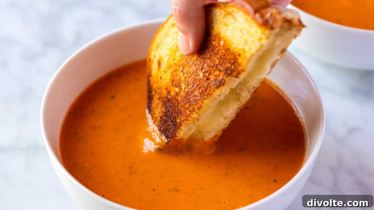 Delicious Homemade Tomato Soup Recipe