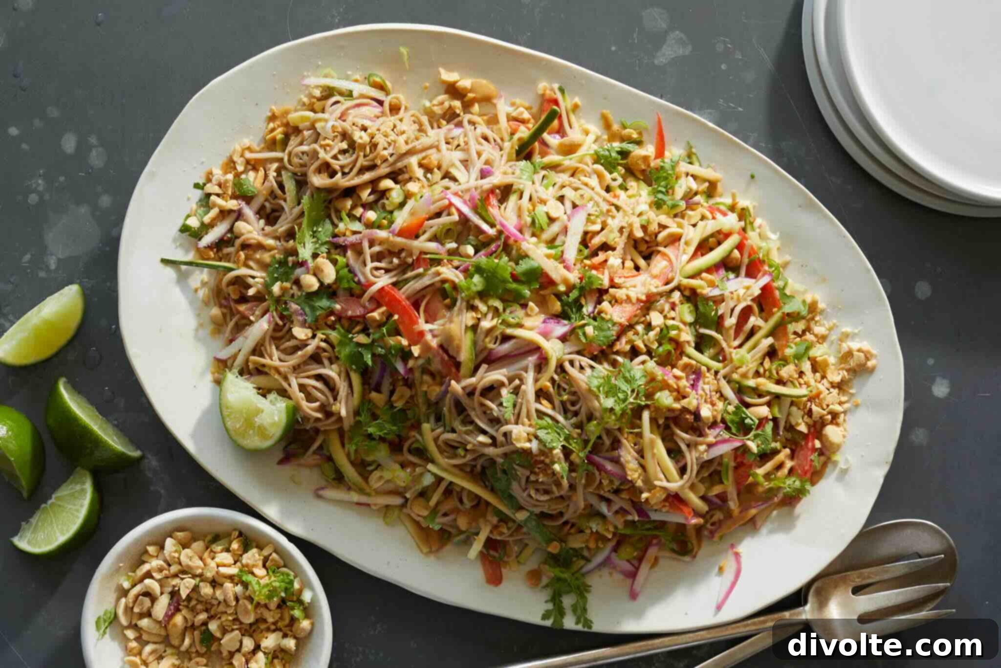 Thai Peanut Noodle Salad Delight 2 thai-peanut-noodle-salad