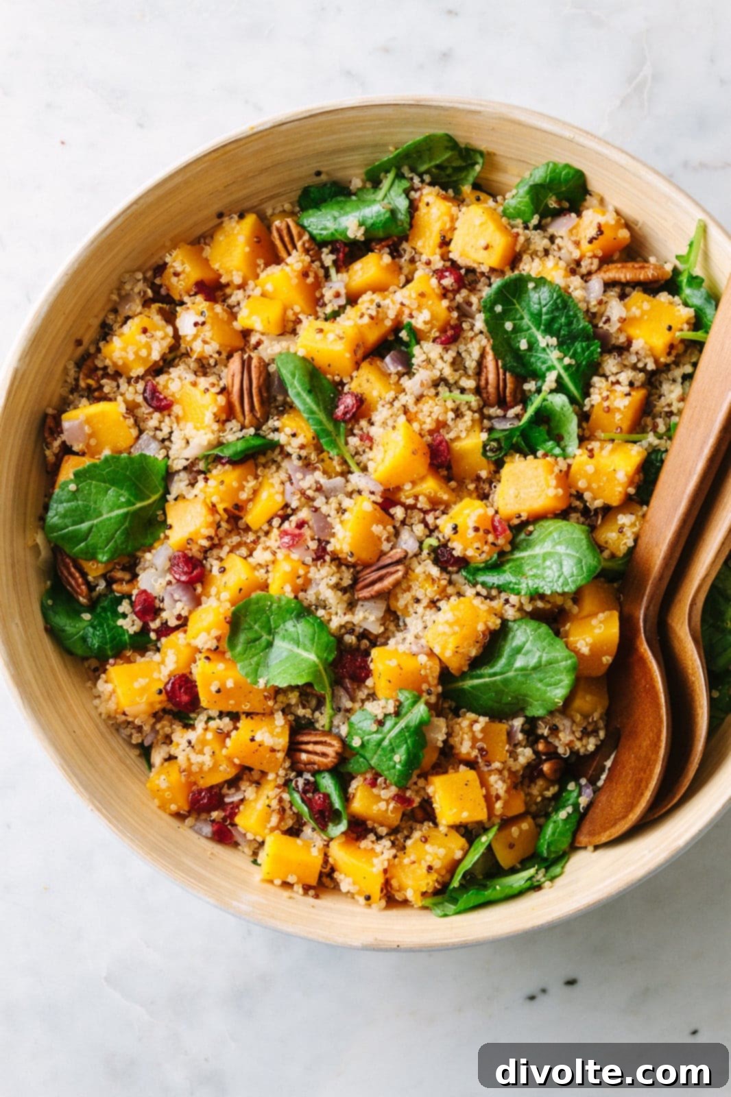 Wholesome Butternut Quinoa Delight 2 butternut-squash-quinoa-salad-recipe