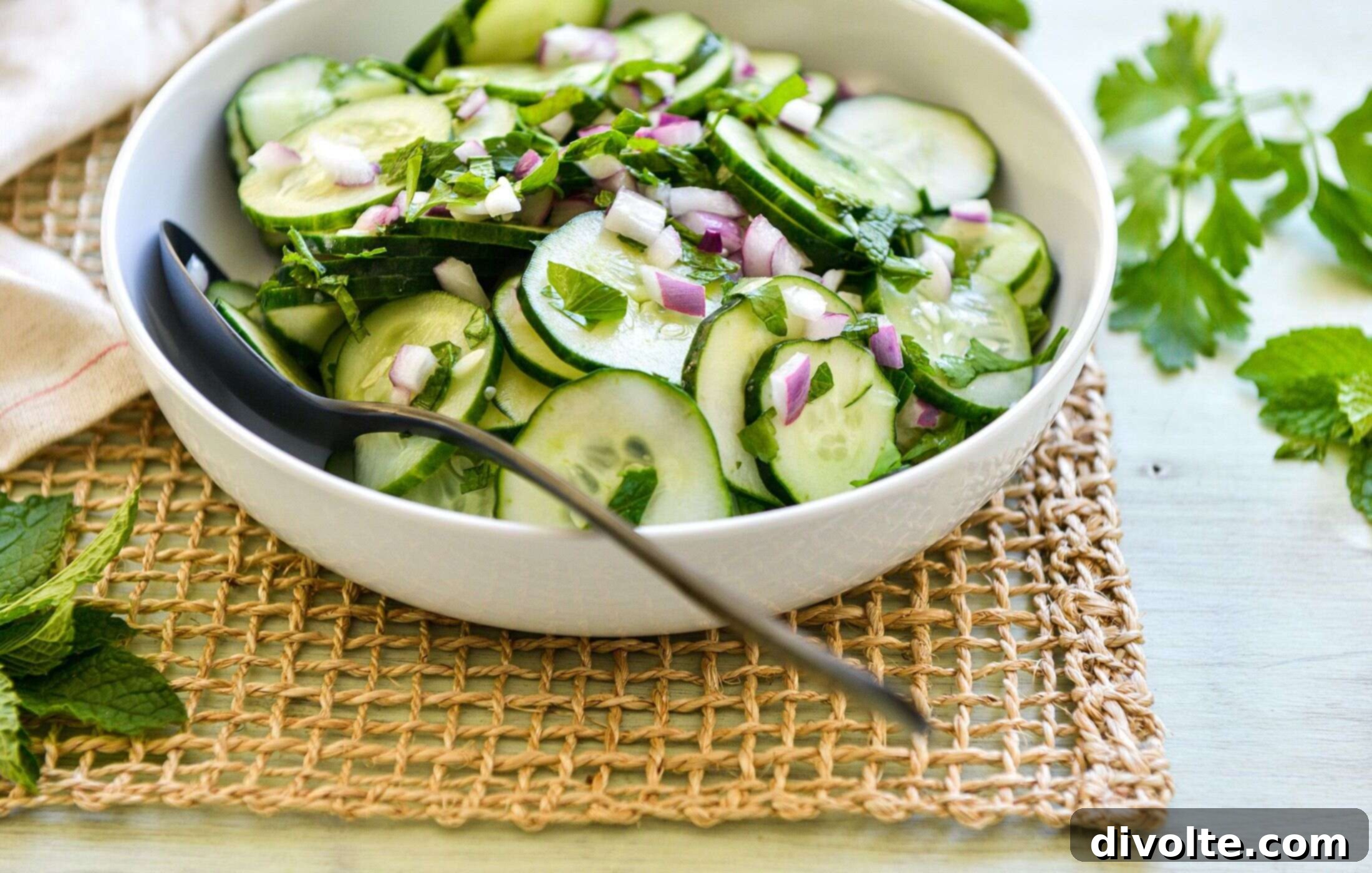 Refreshing Cucumber Mint Salad 2 Refreshing Cucumber Mint Salad Recipe with Olive Oil and Lemon Dressing