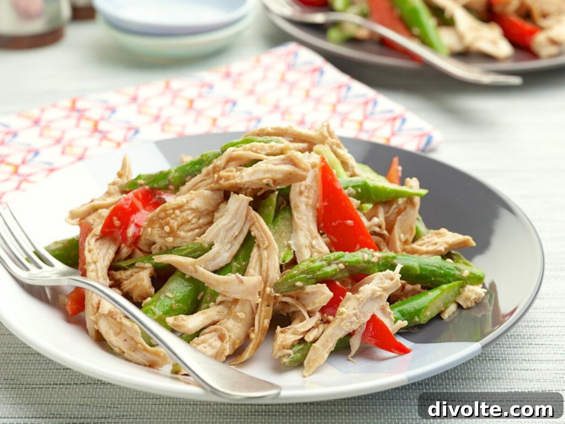 Chinese Chicken Salad 2 chinese-chicken-salad-recipe