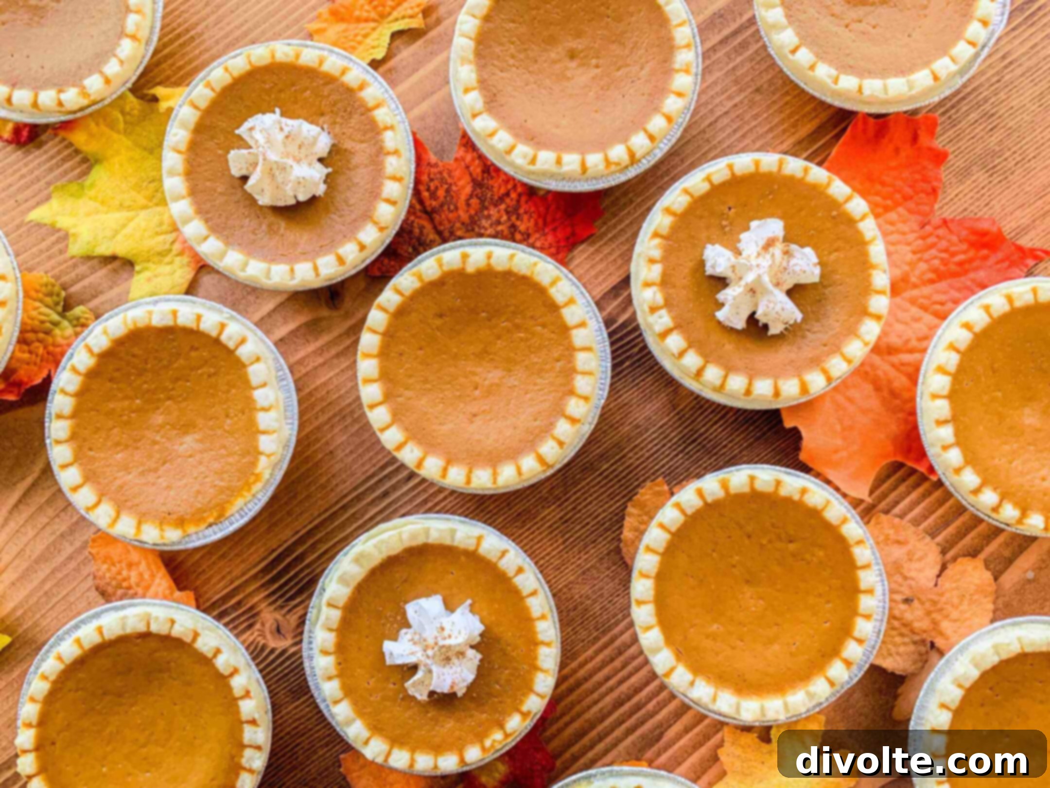 Spiced Pumpkin Tart Perfection 2 pumpkin-tart-recipe