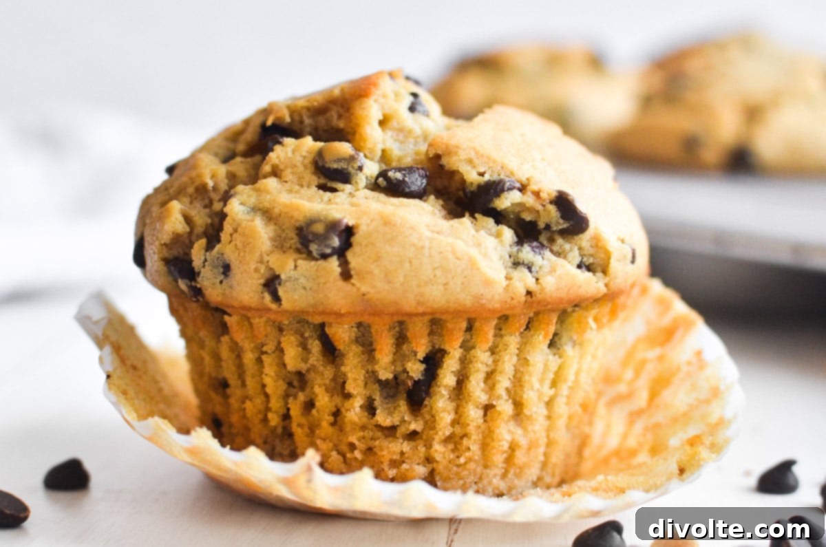 Peanut Butter Chocolate Chip Muffins - Delicious Homemade Recipe