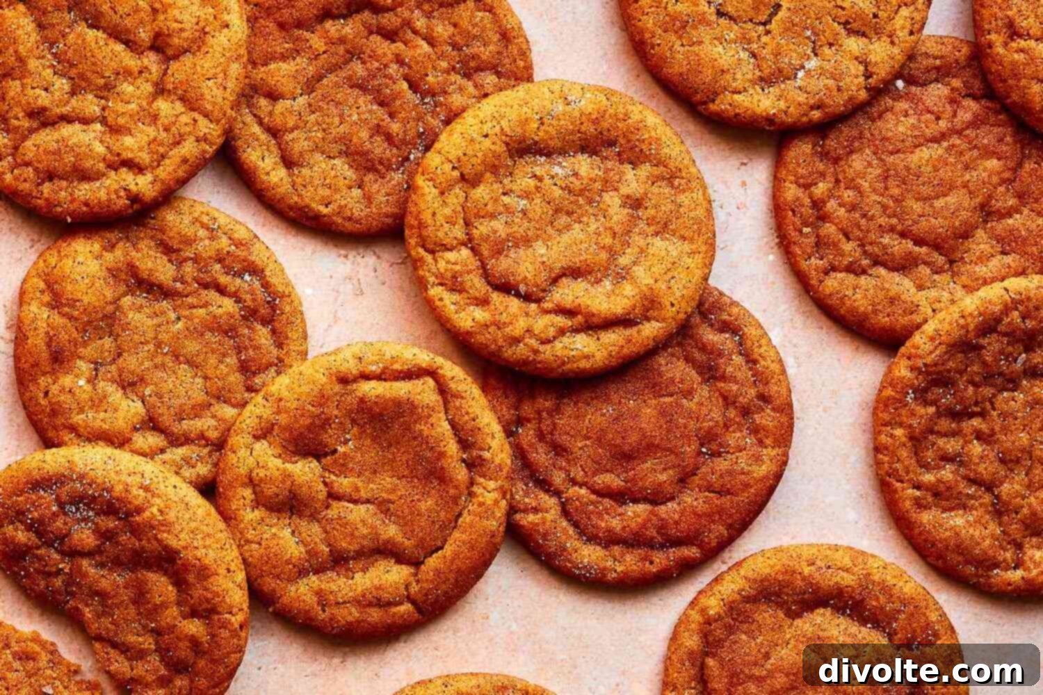 Cozy Pumpkin Spice Snickerdoodles 2 Delicious Pumpkin Spice Snickerdoodles Recipe