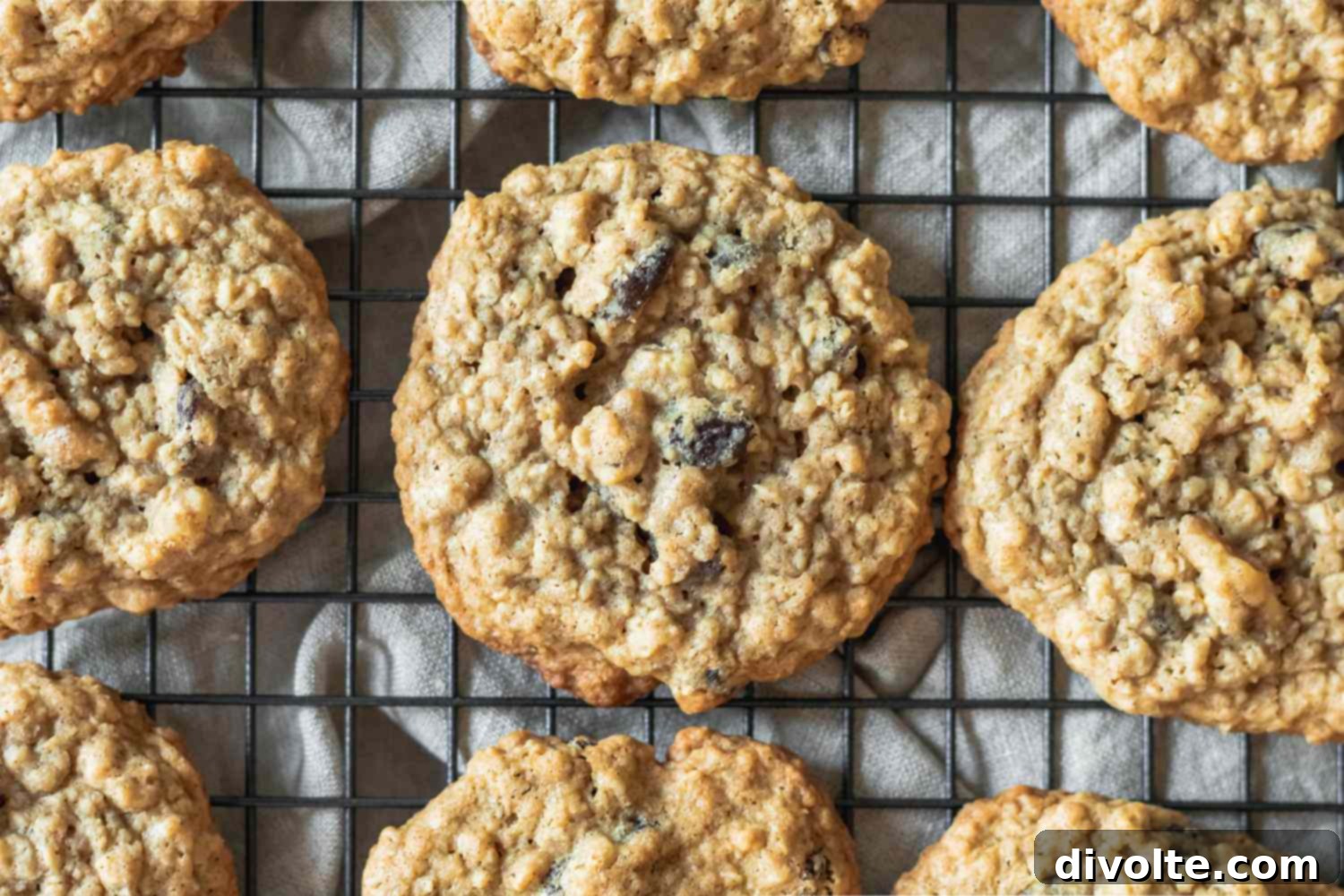 Chewy Cinnamon Raisin Oatmeal Cookies 2 cinnamon-raisin-oatmeal-cookie-recipe