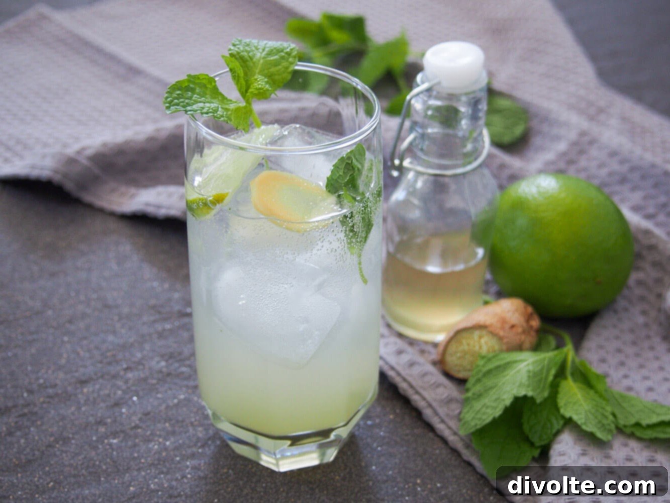Zingy Ginger Mint Mojito 2 ginger-mint-mojito-recipe