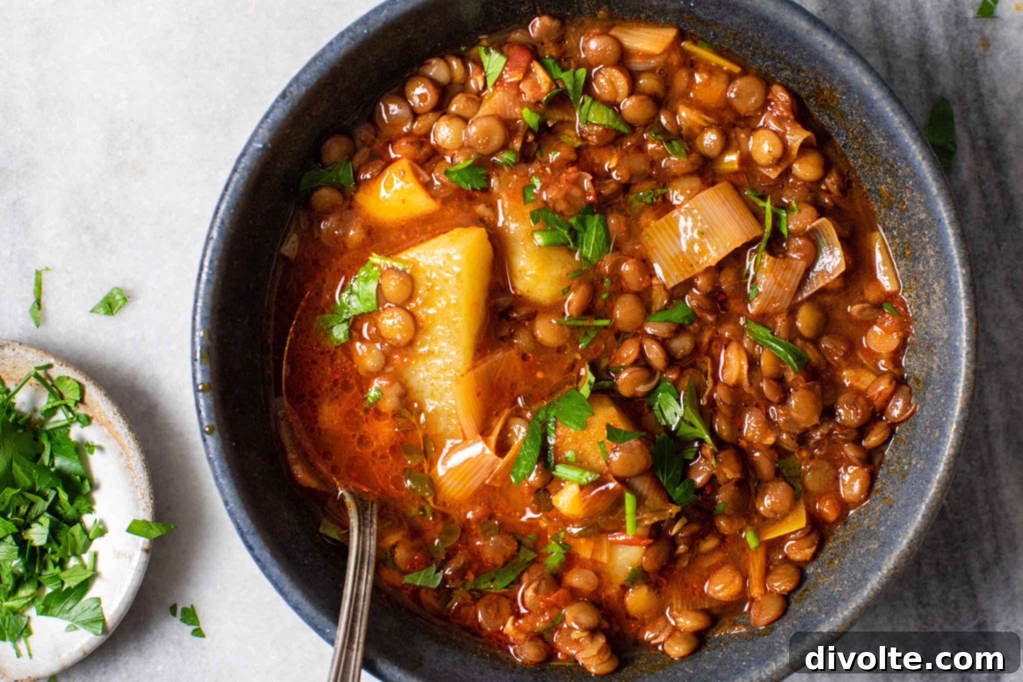 Soul-Soothing Hearty Lentil Stew 2 hearty-lentil-stew-recipe