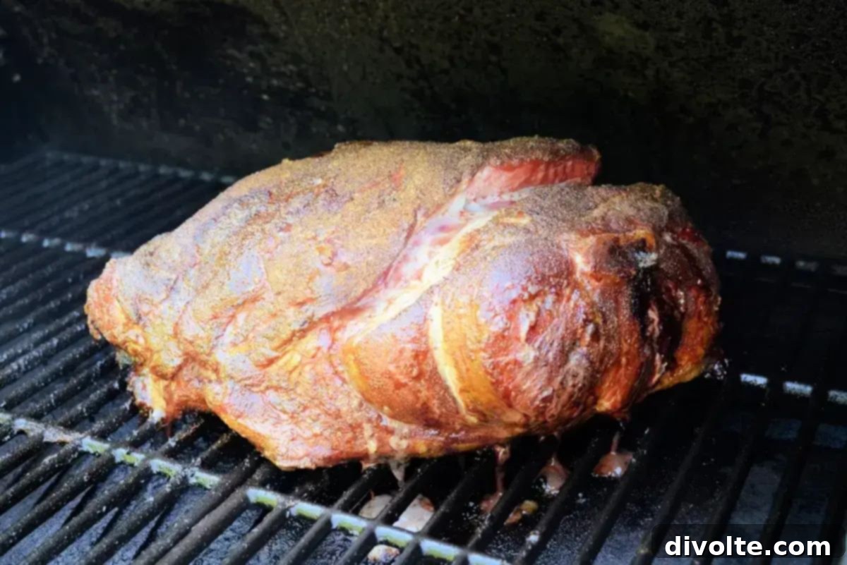 slow-smoked-pulled-pork-recipe