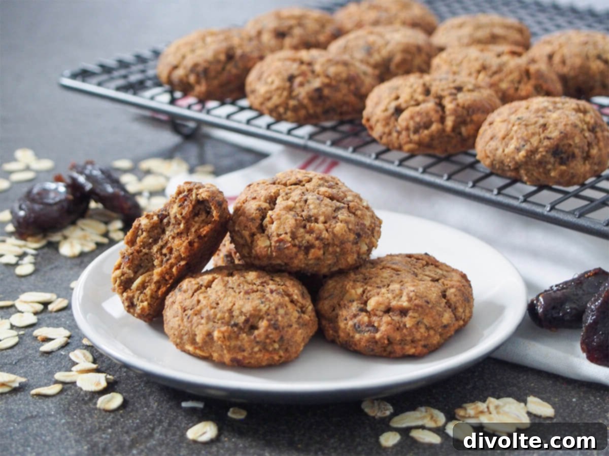 sugarless-health-cookies-recipe