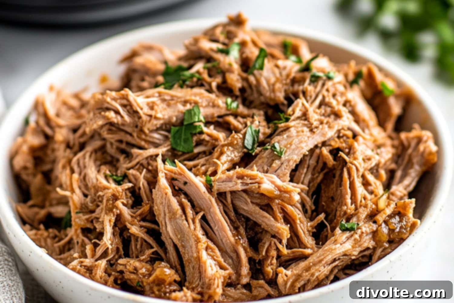 slow-cooker-mojo-pork-recipe