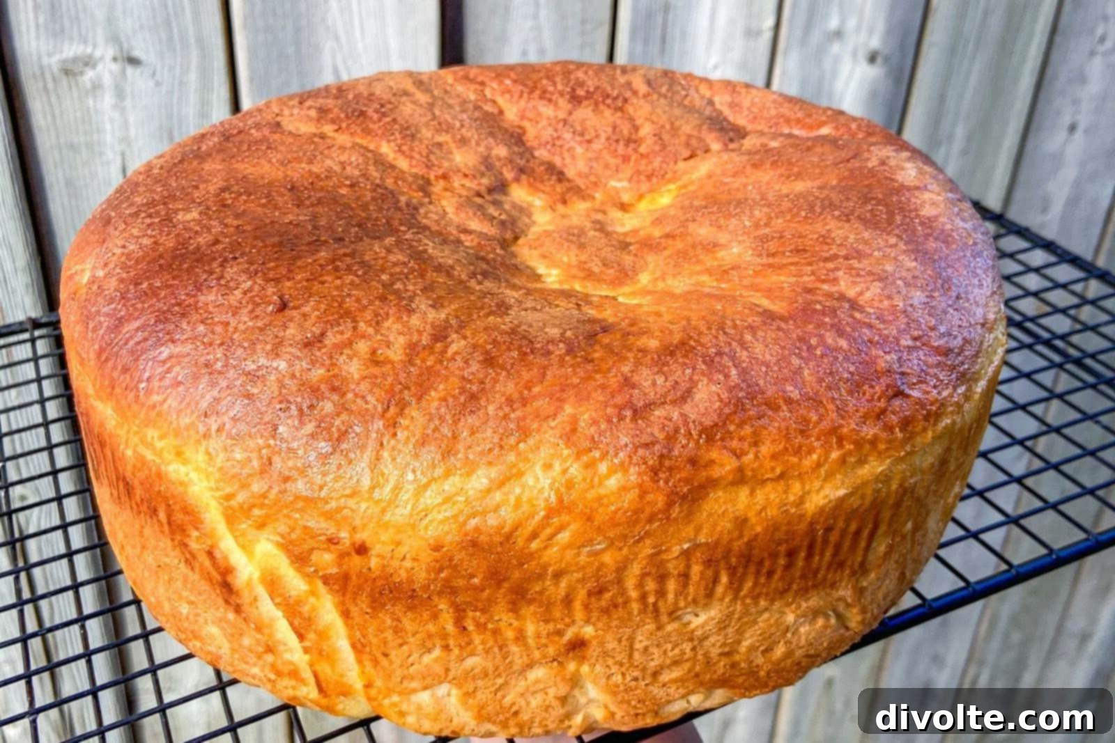 Portuguese Sweet Bread Recipe 2 portuguese-sweet-bread-recipe