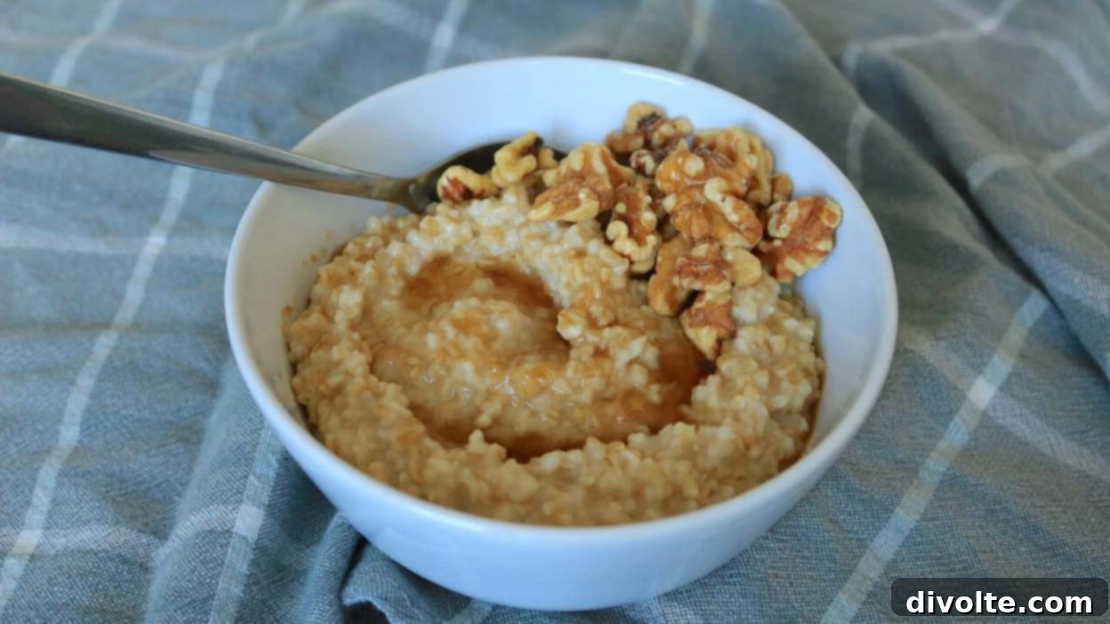 rice-cooker-oats-recipe
