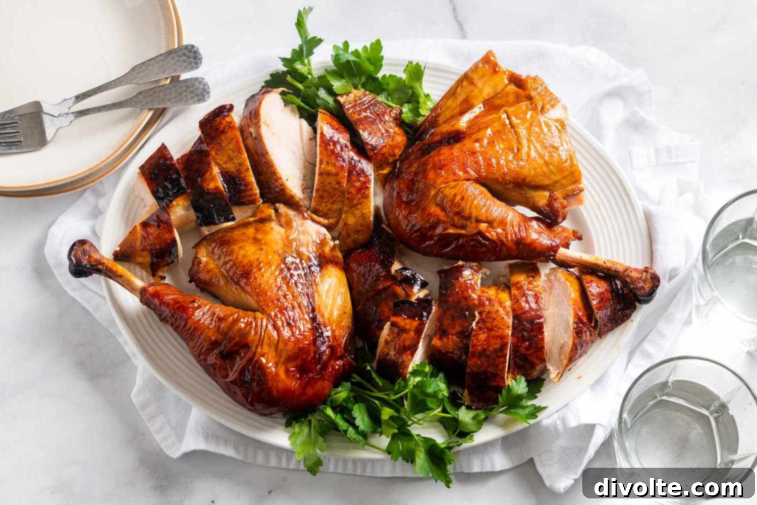 bbq-turkey-recipe