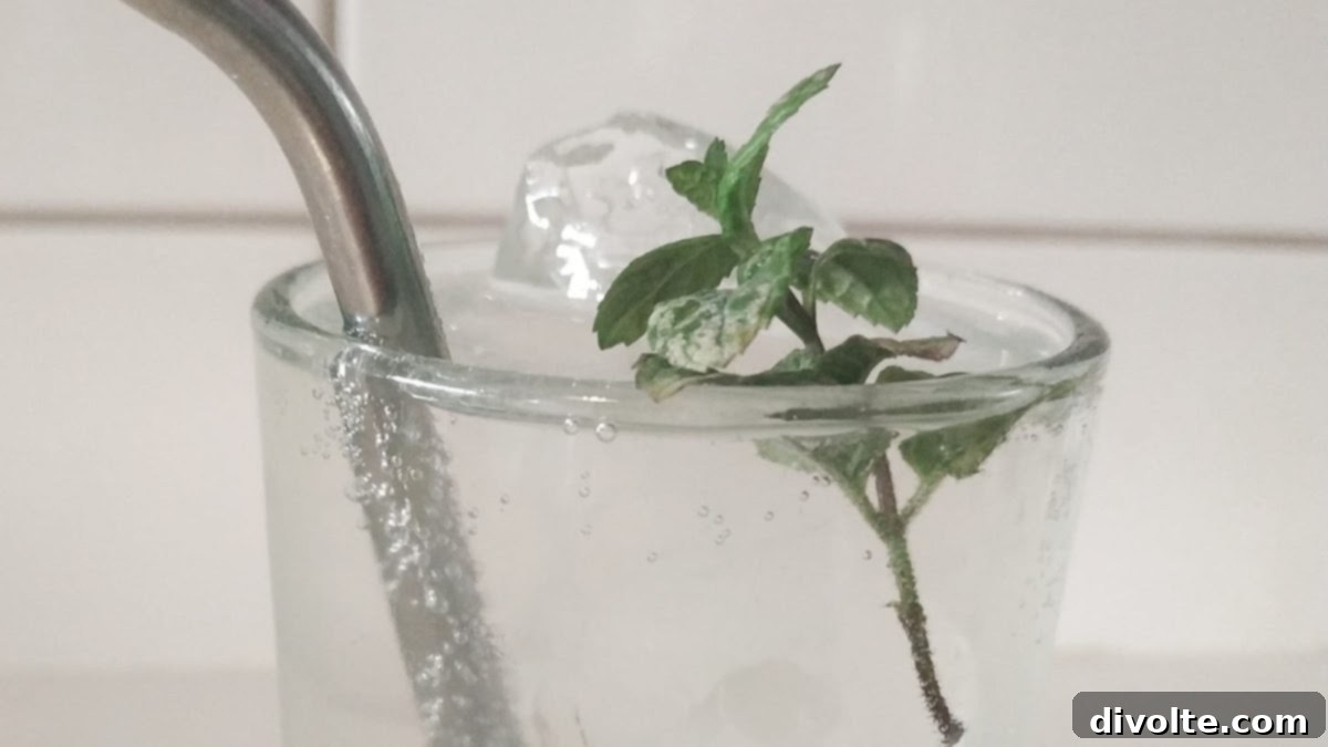 imitation-sprite-recipe