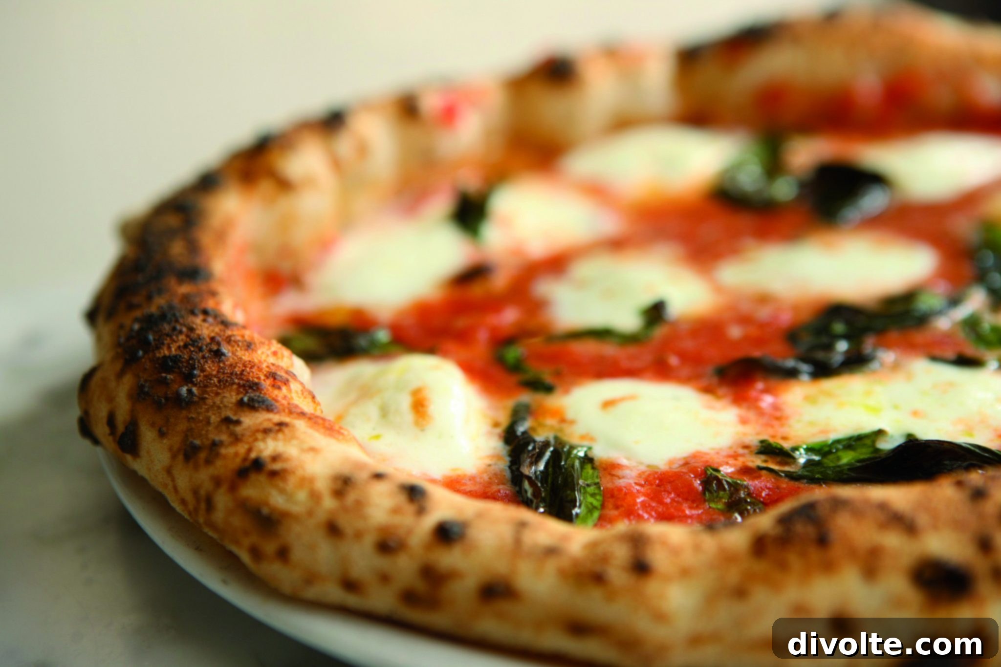 The Secret to Perfect Italian Pizza Dough 2 real-italian-pizza-dough-recipe