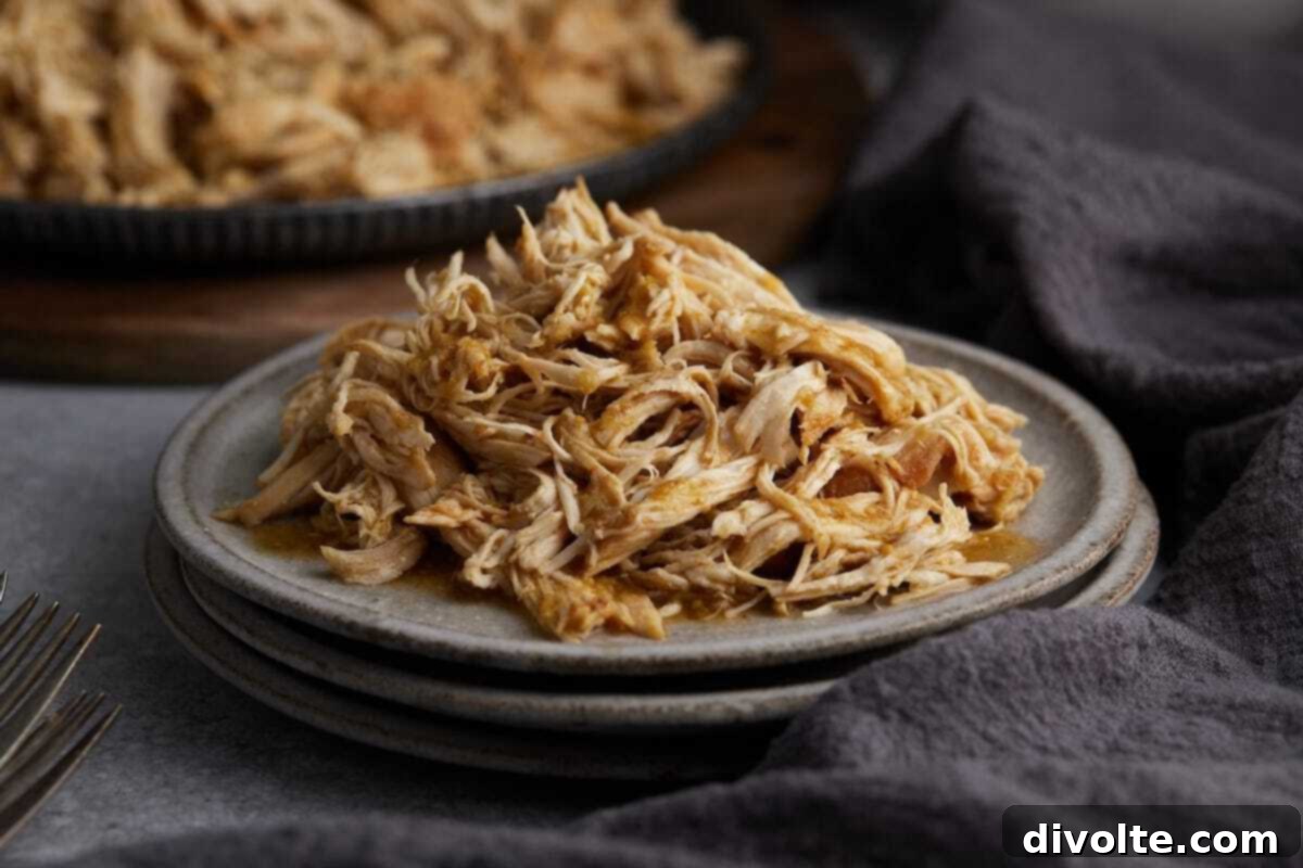 Quick and Easy Instant Pot Salsa Chicken 2 instant-pot-salsa-chicken-recipe