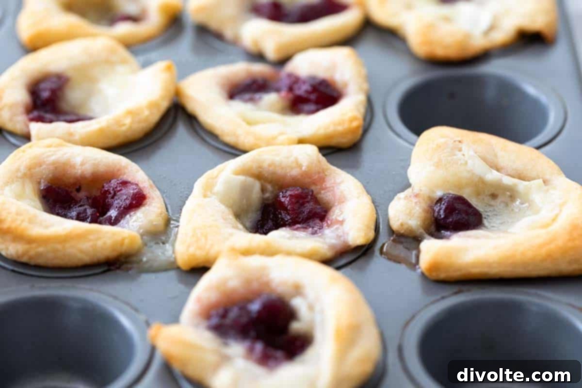 Sweet & Savory Cherry Brie Bites 2 cherry-brie-bites-recipe-with-puff-pastry-and-cherry-preserves-gourmet-appetizer